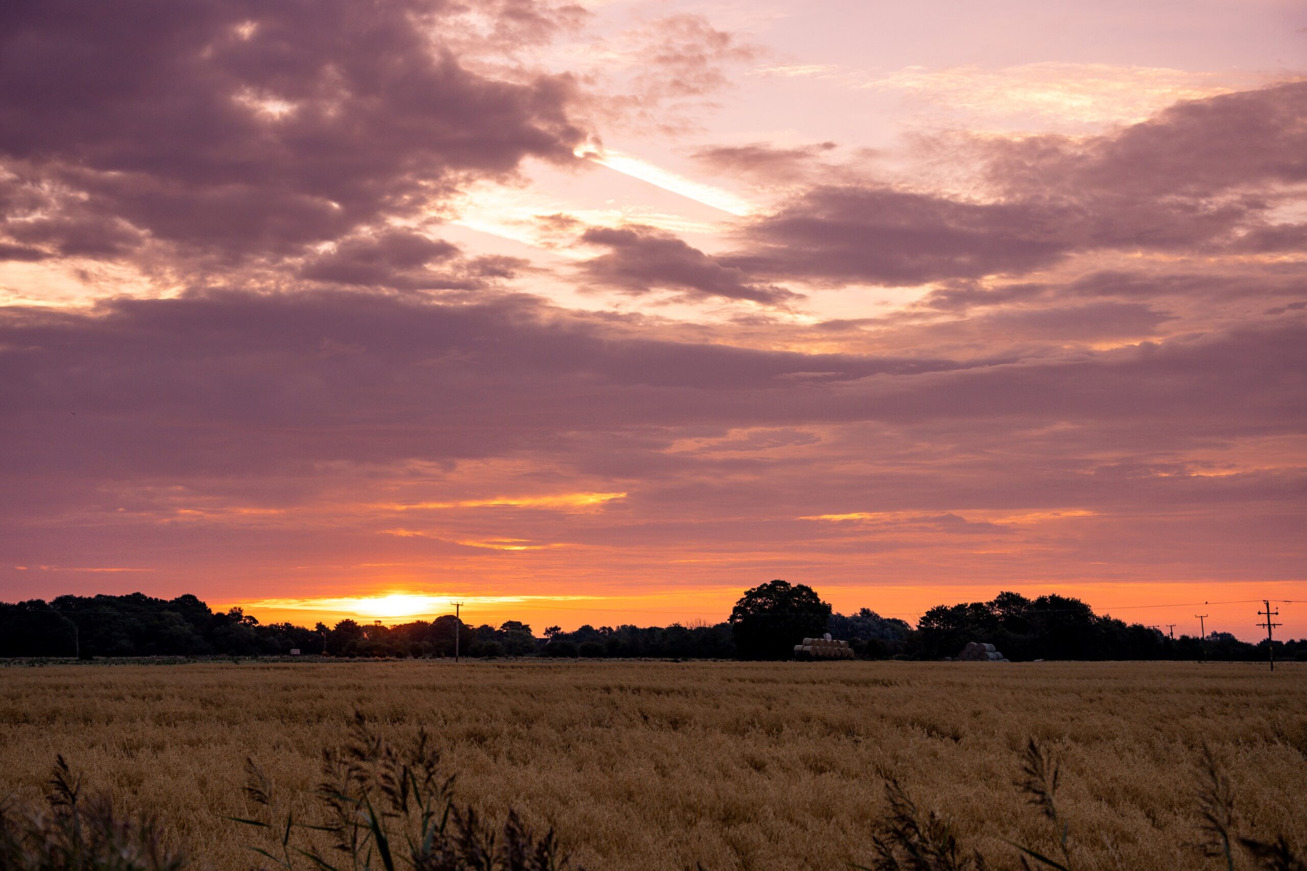 Image of a Lincolnshire landscape, farm fields in main view and trees on the horizon. Sun setting low on the skyline behind the trees with orange glow and cloudy sky.
